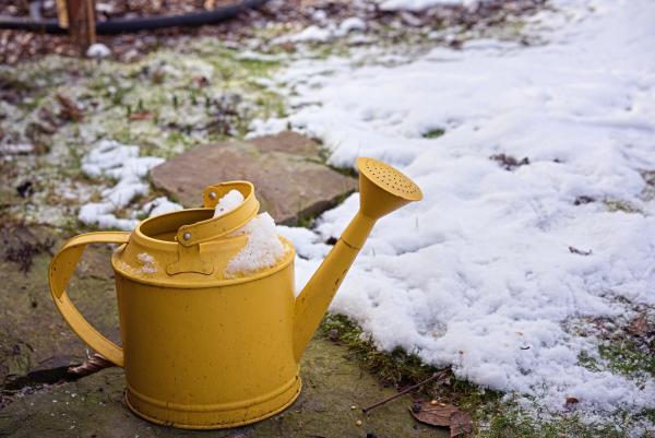 Yellow watering can outside with light snow covering it