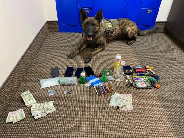 K9 Officer Sarge with drugs and other paraphernalia seized during a search